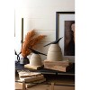 Rustic Clay Storage Jars – 9.5" Tall Bird Handle Canisters by Kalalou - 4 of 4