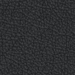 seth freakin rollins