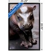 Trends International Cute Pygmy Hippopotamus Framed Wall Poster Prints - 3 of 4