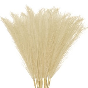 Unique Bargains Dried Plants Artificial Durable Small Fluffy Pampas Grass for Home, Office, Party 20 Pcs 21.7 Inch - 1 of 4