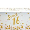 Blue Panda 170-Piece Sweet 16 Party Supplies, Disposable Dinnerware Set with Table Cover, Banner for Birthday Decorations (Serves 24) - 3 of 4