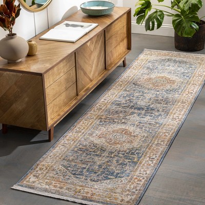 Hauteloom Solana Distressed Medallion Area Carpet