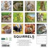 Willow Creek Press 12"x12" 2026 Squirrels Wall Calendar - 2 of 4