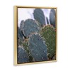 Stupell Industries Prickly Cactus Thorns Close Up Photography Desert Vegetation Floating Frame Canvas Art, Gold, 25" x 31" - 2 of 4