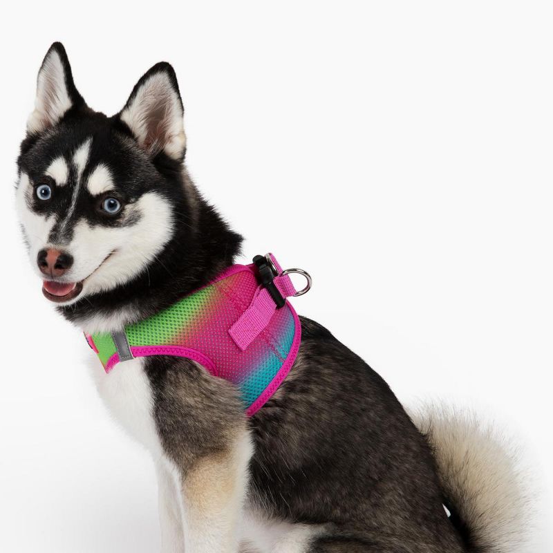Doggie Design American River Choke Free Dog Harness Ombre Collection-Cotton Candy, 4 of 5