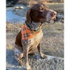 Country Brook Petz Premium Nylon Dog Collar with Metal Buckle for Small Medium Large Breeds - Vibrant 30+ Color Selection - 4 of 4