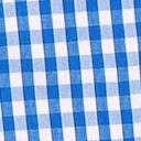 blue white plaid