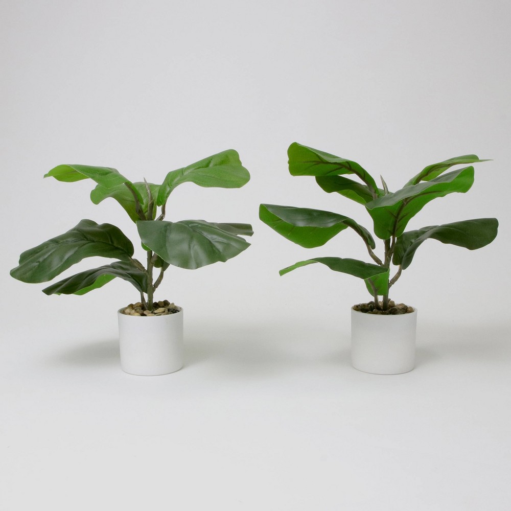 2ct Faux Fiddle Leaf Plant with White Pot - Bullseye's Playground