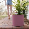Bloem Mathers Round Resin Planter Pot Indoor and Outdoor Gardening - 3 of 4