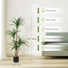 4/5/6 Ft Artificial Dracaena Tree, Realistic Fake Dracaena Plant, Tall Dracaena Houseplant for Indoor Décor, Adjustable Lifelike Faux Tree - 2 of 4