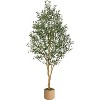 7ft Tall Artificial Olive Plants - Fake Topiary Silk Tree with Natural Wood Trunk and Lifelike Fruits for Home Office Decor - 2 of 4