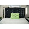 Dr. Pillow Aragan Carbon Secret 6 in 1 Bacteria Protection Pillow - 4 of 4