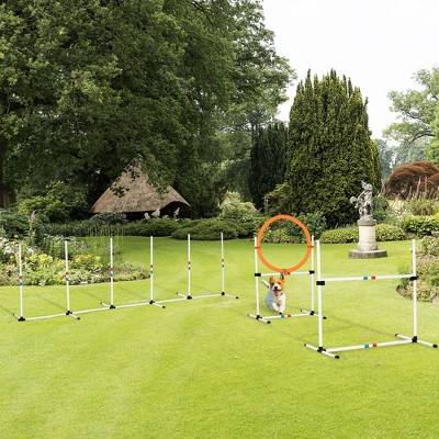 PawHut 3-Piece White Dog Agility Training Set with Carry Bag