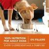 Purina ONE SmartBlend High Protein Healthy Weight Natural Turkey Flavor Dry Dog Food - 4 of 4