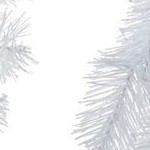 warm white