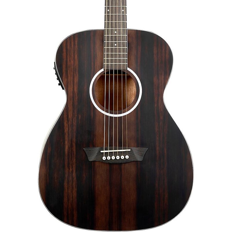 Washburn Deep Forest Ebony FE Acoustic-Electric Guitar Natural Matte, 1 of 7