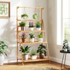 Tangkula 3 Tier Hanging Plant Stand w/ Height Adjustable Hanger Rod Folding Flower Shelf - 2 of 4