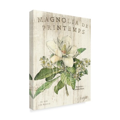 Trademark Fine Art -Sue Schlabach 'Magnolia De Printemps' Canvas Art