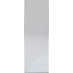 60"x20" Brushed Nickel Modern Leaner Decorative Wall Mirror Silver - Project 62™