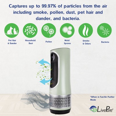 Gray HEPA Air Purifier and Heater with Remote Control