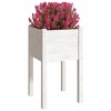 vidaXL Garden Planters 2 pcs White 39.4"x19.7"x19.7" Solid Wood Pine - 3 of 4
