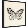 Amanti Art Butterfly V BW Crop by Debra Van Swearingen Framed Canvas Wall Art - 3 of 4