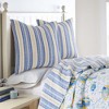 Tropical Sea Euro Sham Set - Two Euro Shams - Levtex Home - 2 of 3