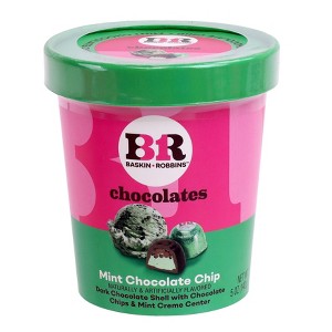 Baskin-Robbins Mint Chocolate Chip - 5oz - 1 of 4