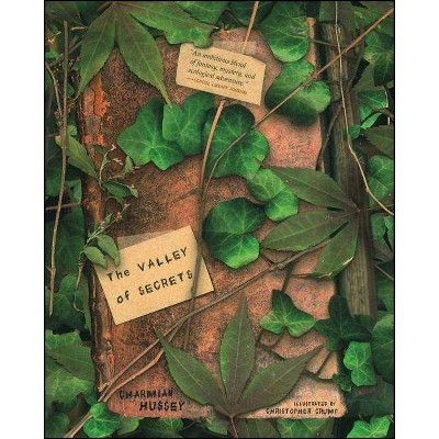 The Valley of Secrets - by  Charmian Hussey (Paperback)