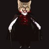 Men's Design By Humans Catcula Cat Kitten Dracula Cute Funny Halloween t shirt By JOHANNESART T-Shirt - 2 of 4