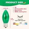Joyfy C9 30.75FT Christmas Pathway Lights, 24 Bulbs Christmas Outdoor Multicolor Lights with Stakes Yard Decor for Xmas Outside Yard Garden Walkway - 4 of 4