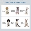 SKYONE Raised Dog Feeding Station with Hidden Storage Drawer, 2 Stainless Steel Bowls for Medium - 4 of 4