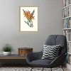 Amanti Art Paxton Tropicals IV by Jennifer Paxton Parker Wood Framed Wall Art Print - 4 of 4