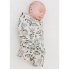 Stretchy Swaddle | Gone Fishin' | Charlie Lou Baby - 3 of 4
