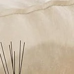 1.2 michat cracked oak