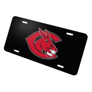 University of Central Missouri Secondary Logo Novelty Metal Vanity Tag License Plate - 1 of 4