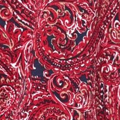 paisley print