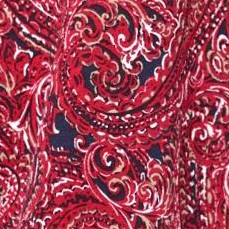 paisley print
