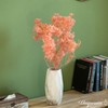 Uniquewise Preserved Real Floral Stems Chic Vase Fillers & Accents for Bouquets Centerpieces - 2 of 4