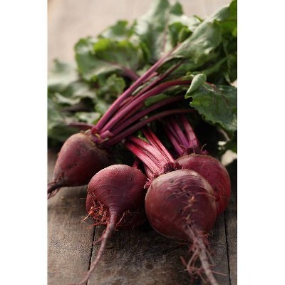 Fresh Organic Red Beets - 1lb