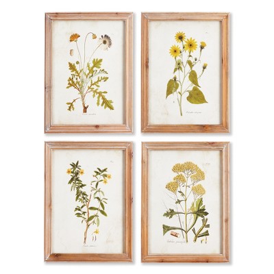 Plum & Post Golden Wildflower Study, Set Of 4