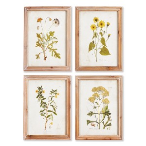 Plum & Post Golden Wildflower Study, Set Of 4 - 1 of 4