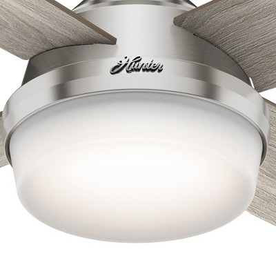 Hunter 52" Dempsey Lighted Ceiling Fan Brushed Nickel with Light Gray Oak Blades - Modern Design for Contemporary Spaces