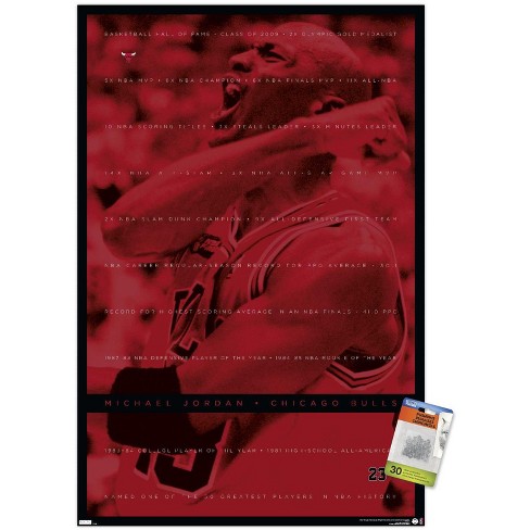 Trends International Michael Jordan - Achievements Unframed Wall Poster  Print Clear Push Pins Bundle 22.375 X 34 : Target