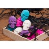 Gallerie II Flocked Skull In Box Figurines Assortment of 12 - 3 of 4