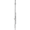 Allora AFL-250 Student Series Flute Offset G C-Foot - 4 of 4
