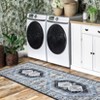 Machine Washable Vintage Printed Accent Area Rug Stain Resistant Non Slip Traditional Low Pile Floor Carpet for Living Room Bedroom Kitchen - 3 of 4