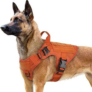 rabbitgoo Tactical Dog Harness for Large, Heavy Duty Pet Harness with Handle, , Adjustable Military Dog Vest for Training Hunting Walking, Orange, L - 1 of 1