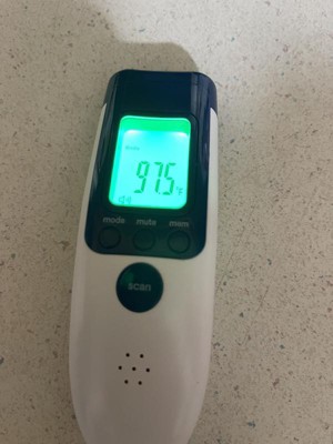 Temple Non-contact Ir Thermometer - Up & Up™ : Target