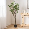 Gulches 71 Inch Artificial Milan Leaf Bonsai elm Tree Plants, Pre Potted Plant, Ideal for Indoor Gardens, Living Rooms and Bedrooms - 3 of 4